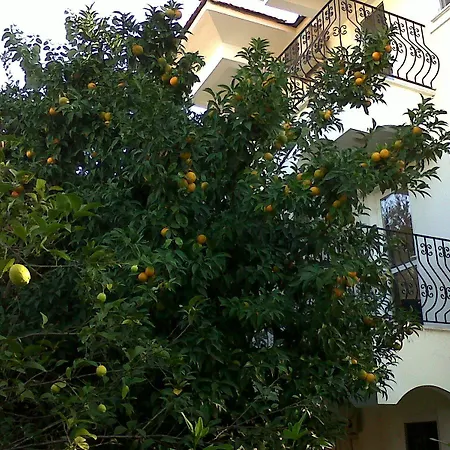 Ant Oludeniz