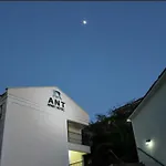Ant