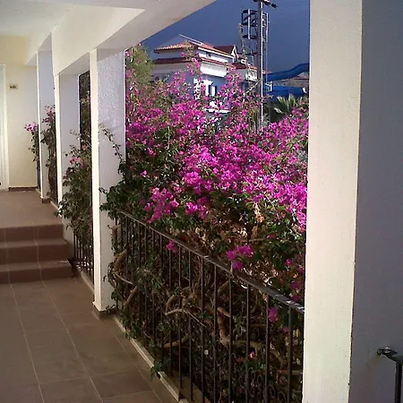 Hotel Ant