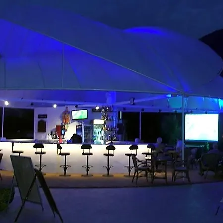 Ant 3*