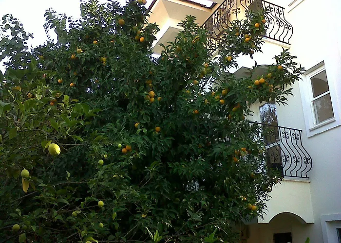 Ant Ölüdeniz